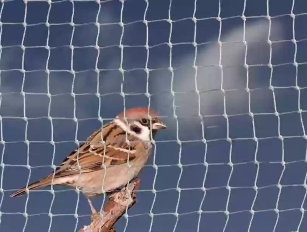 Home anti bird nets