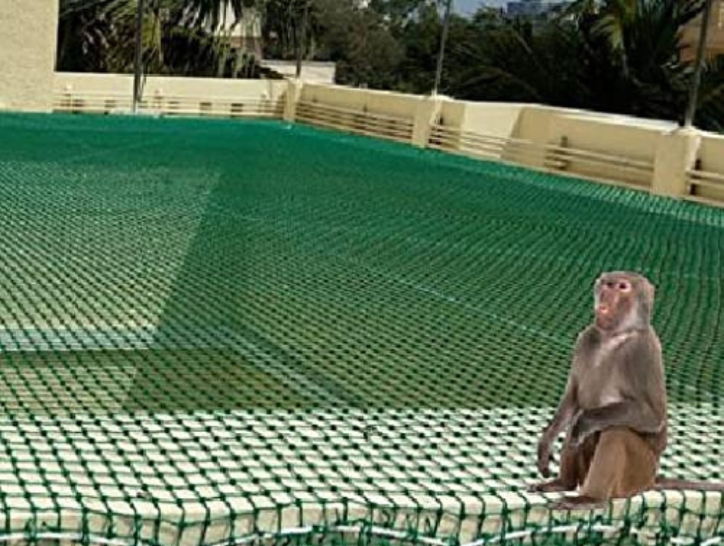 Home monkey protection nets